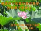 ֹ,󷨵ӹףʦ(21)
