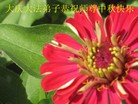 ֹ,󷨵ӹףʦ(21)
