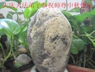 ֹ,󷨵ӹףʦ(21)
