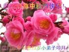 ֹ,㶫󷨵ӹףʦ(29)
