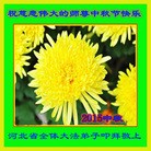 Published on 9/27/2015 ���ֹ�,��½�󷨵��ӹ�ףʦ�������(32��)
