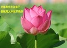ֹ,Ϋ󷨵ӹףʦ(25)
