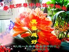 ֹ,󷨵ӹףʦ(23)
