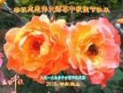 ֹ,󷨵ӹףʦ(23)
