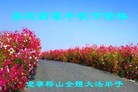 ֹ,󷨵ӹףʦ(22)
