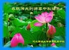 ֹ,ӱ󷨵ӹףʦ(24)
