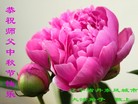 ֹ,󷨵ӹףʦ(20)
