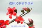 ֹ,ϴ󷨵ӹףʦ(23)
