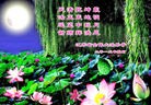 ֹ,մ󷨵ӹףʦ(24)
