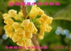 ֹ,մ󷨵ӹףʦ(26)
