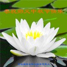 Published on 9/27/2015 ���ֹ�,��½�󷨵��ӹ�ףʦ�������(43��)
