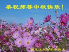 ֹ,½󷨵ӹףʦ(35)
