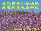 ֹ,½󷨵ӹףʦ(35)
