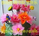 ֹ,󷨵ӹףʦ(26)

