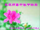 ֹ,󷨵ӹףʦ(28)
