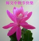 Published on 9/27/2015 ���ֹ�,��½�󷨵��ӹ�ףʦ�������(35��)
