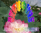 ֹ,ɹŴ󷨵ӹףʦ(27)
