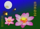 ֹ,󷨵ӹףʦ(31)
