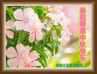 ֹ,ɶ󷨵ӹףʦ(28)
