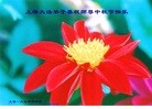 ֹ,Ϻ󷨵ӹףʦ(29)
