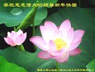 Published on 1/2/2016 ���ֹ�,��½�󷨵��ӹ�ףʦ��������֣�40����
