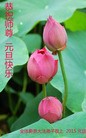 Published on 1/2/2016 ���ֹ�,��½�󷨵��ӹ�ףʦ��������֣�40����
