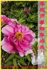 Published on 1/2/2016 ���ֹ�,��½�󷨵��ӹ�ףʦ������ã�100����
