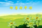 Published on 1/2/2016 ���ֹ�,��½�󷨵��ӹ�ףʦ������ã�100����
