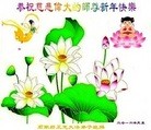 Published on 1/2/2016 ���ֹ�,��½�󷨵��ӹ�ףʦ������ã�100����
