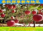 Published on 1/2/2016 ���ֹ�,��½�󷨵��ӹ�ףʦ������ã�100����
