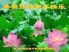 Published on 1/2/2016 ���ֹ�,��½�󷨵��ӹ�ףʦ������ã�100����
