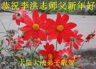 Published on 1/2/2016 ���ֹ�,��½�󷨵��ӹ�ףʦ������ã�100����
