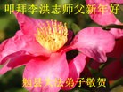 Published on 1/2/2016 ���ֹ�,��½�󷨵��ӹ�ףʦ������ã�100����
