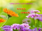 Published on 1/2/2016 ���ֹ�,��½�󷨵��ӹ�ףʦ������ã�100����
