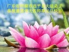 Published on 1/2/2016 ���ֹ�,��½�󷨵��ӹ�ףʦ������ã�100����
