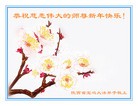 Published on 1/2/2016 ���ֹ�,��½�󷨵��ӹ�ףʦ������ã�100����
