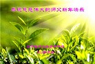 Published on 1/2/2016 ���ֹ�,��½�󷨵��ӹ�ףʦ������ã�100����
