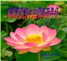 Published on 1/2/2016 ���ֹ�,��½�󷨵��ӹ�ףʦ������ã�100����

