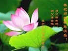 Published on 1/2/2016 ���ֹ�,��½�󷨵��ӹ�ףʦ������ã�100����
