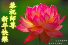 Published on 1/2/2016 ���ֹ�,��½�󷨵��ӹ�ףʦ��������֣�67��
