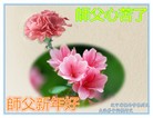 Published on 1/2/2016 ���ֹ�,��½�󷨵��ӹ�ףʦ��������֣�67��
