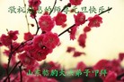 Published on 1/2/2016 ���ֹ�,��½�󷨵��ӹ�ףʦ��������֣�67��
