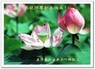 Published on 1/2/2016 ���ֹ�,��½�󷨵��ӹ�ףʦ��������֣�67��
