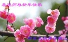 Published on 1/2/2016 ���ֹ�,��½�󷨵��ӹ�ףʦ��������֣�67��
