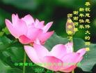 Published on 1/2/2016 ���ֹ�,��½�󷨵��ӹ�ףʦ��������֣�67��
