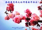 Published on 1/2/2016 ���ֹ�,��½�󷨵��ӹ�ףʦ��������֣�67��
