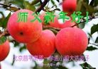 Published on 1/2/2016 ���ֹ�,��½�󷨵��ӹ�ףʦ��������֣�51����
