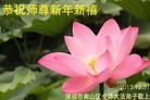 Published on 1/2/2016 ���ֹ�,��½�󷨵��ӹ�ףʦ��������֣�51����
