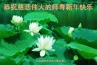 Published on 1/2/2016 ���ֹ�,��½�󷨵��ӹ�ףʦ��������֣�51����
