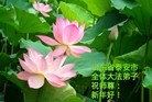 Published on 1/2/2016 ���ֹ�,��½�󷨵��ӹ�ףʦ��������֣�51����
